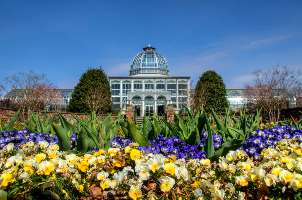 a botanical garden with a domed building in the background